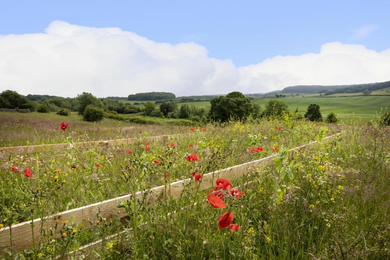 Thirley Cotes Farm Cottages Скарборо Экстерьер фото